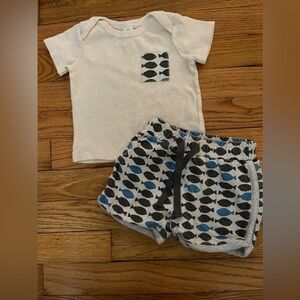 Stem | shorts and short sleeve shirt | baby boy 6mo